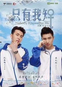 类似爱情在线观看观看,浪漫邂逅，甜蜜瞬间  第3张